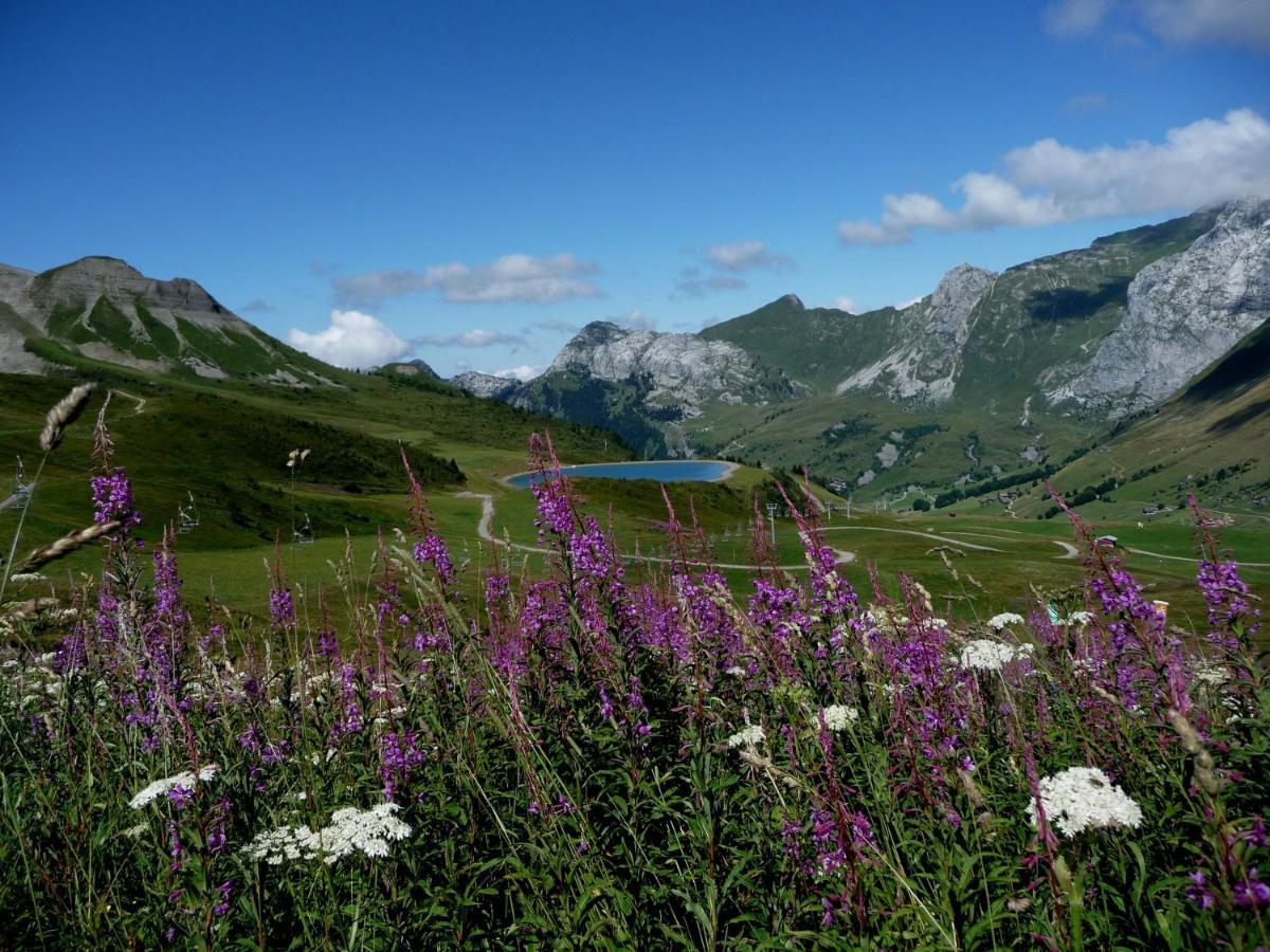 "Chalet Les Aravis" Chalet Et Appartements Le Grand-Bornand Bagian luar foto
