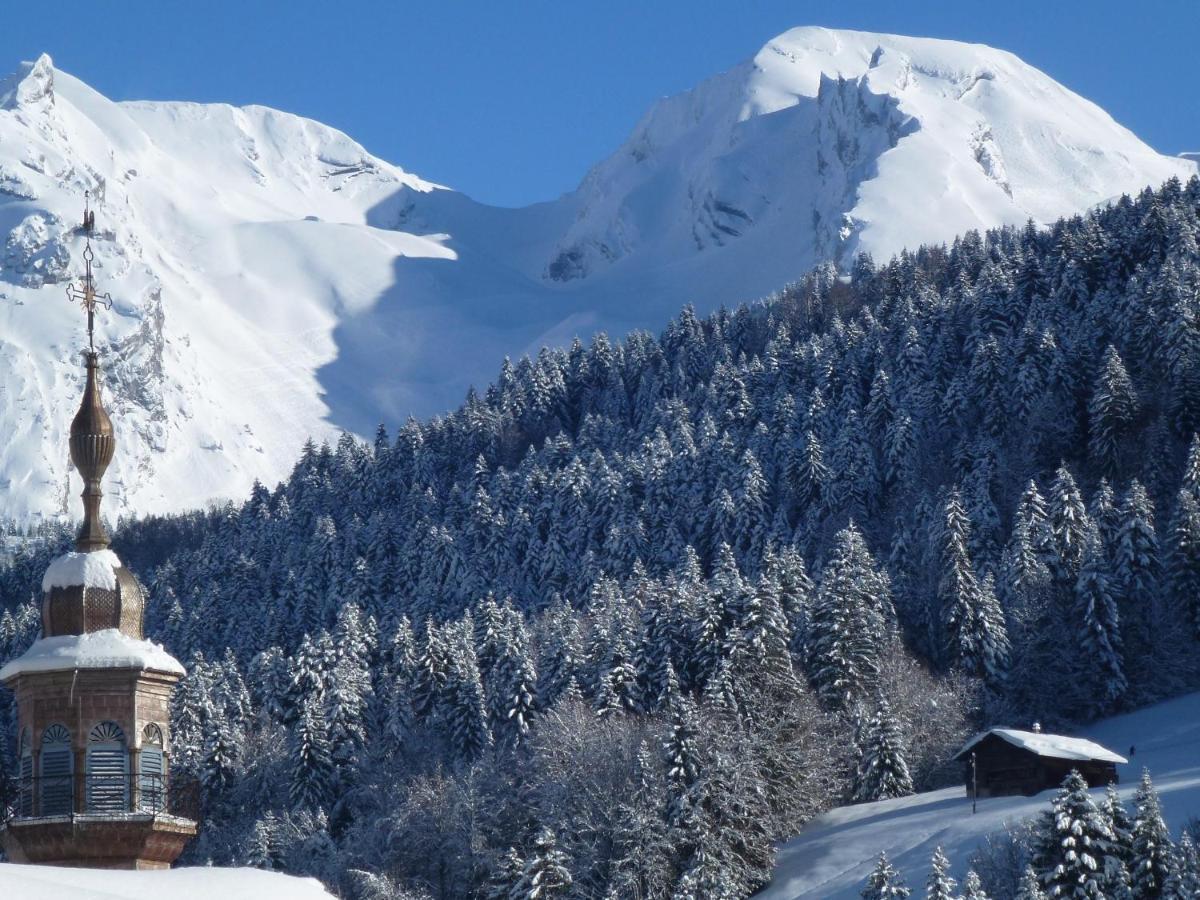 "Chalet Les Aravis" Chalet Et Appartements Le Grand-Bornand Bagian luar foto