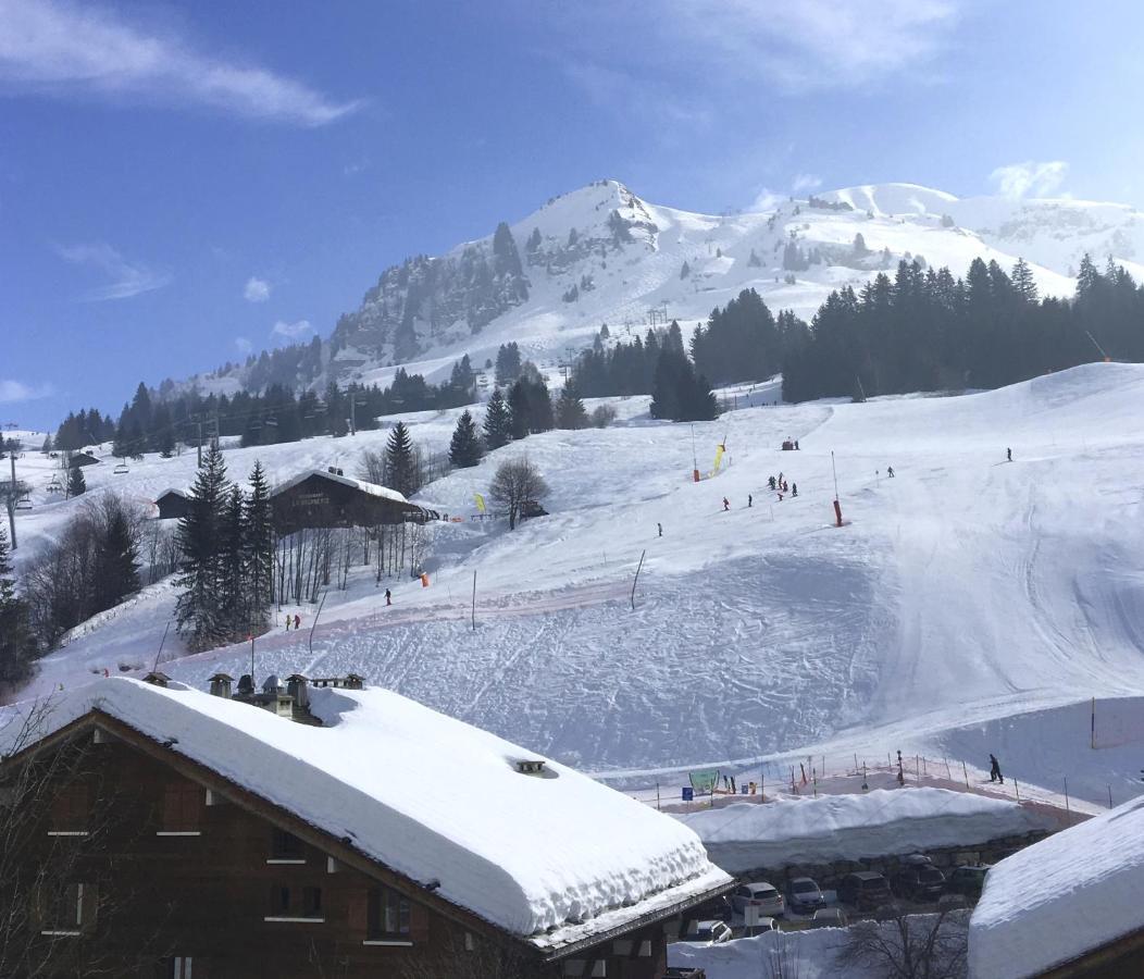 "Chalet Les Aravis" Chalet Et Appartements Le Grand-Bornand Bagian luar foto